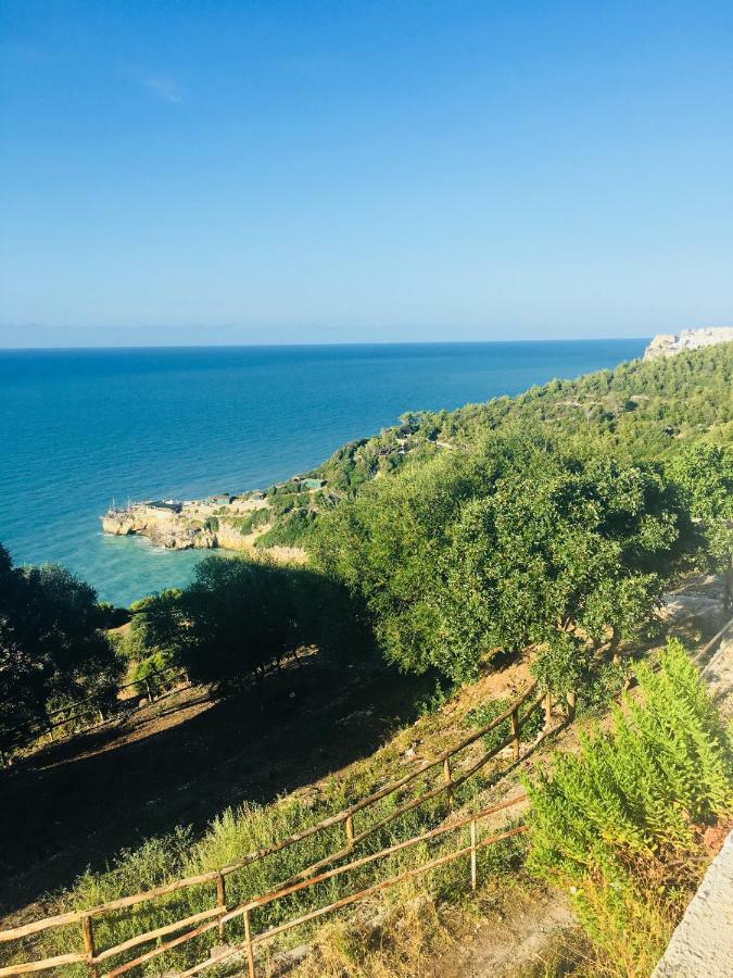 Casa Michela Villa Vico Del Gargano Buitenkant foto
